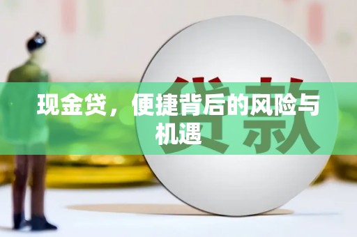 银海现金贷，便捷背后的风险与机遇