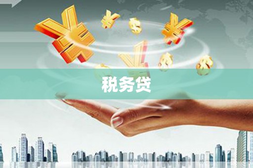 银海税务贷