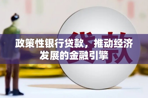 银海政策性银行贷款，推动经济发展的金融引擎