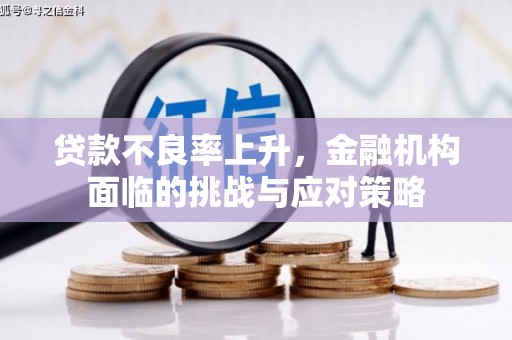 银海贷款不良率上升，金融机构面临的挑战与应对策略