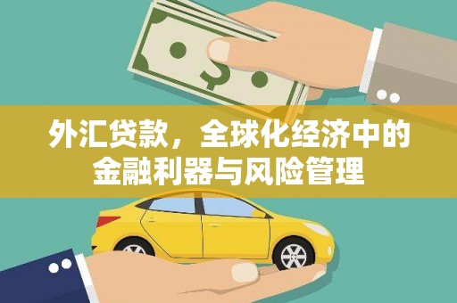银海外汇贷款，全球化经济中的金融利器与风险管理