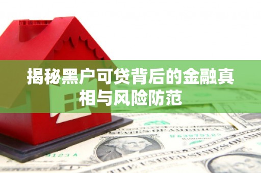 银海揭秘黑户可贷背后的金融真相与风险防范