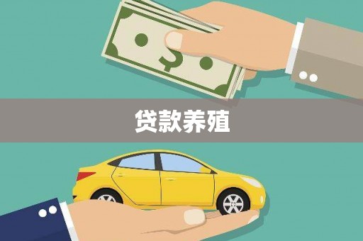 银海贷款养殖
