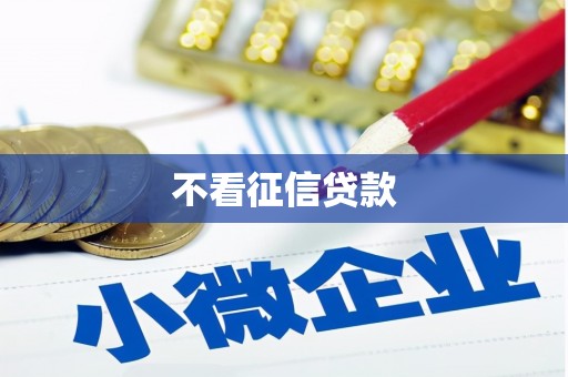 银海不看征信贷款