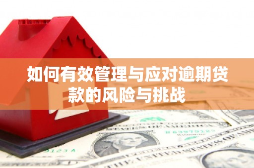 银海如何有效管理与应对逾期贷款的风险与挑战