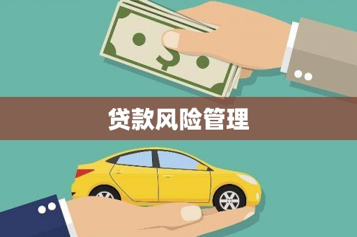 银海贷款风险管理