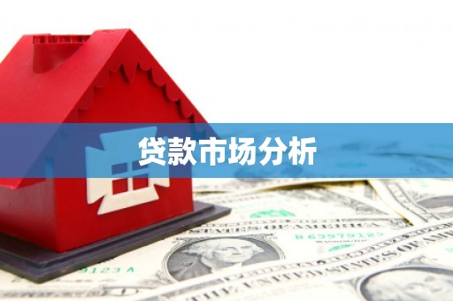 银海贷款市场分析