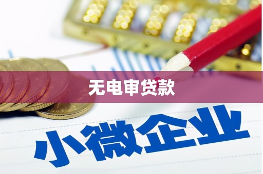 银海无电审贷款
