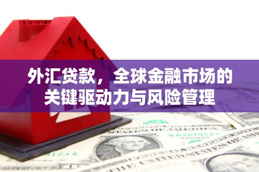 银海外汇贷款，全球金融市场的关键驱动力与风险管理