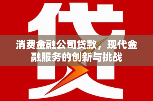 银海消费金融公司贷款，现代金融服务的创新与挑战