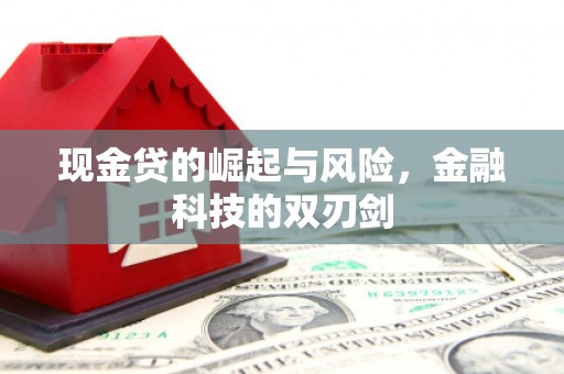 银海现金贷的崛起与风险，金融科技的双刃剑