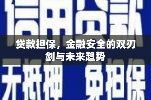 银海贷款担保，金融安全的双刃剑与未来趋势