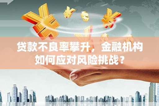 银海贷款不良率攀升，金融机构如何应对风险挑战？