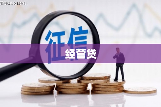 银海经营贷