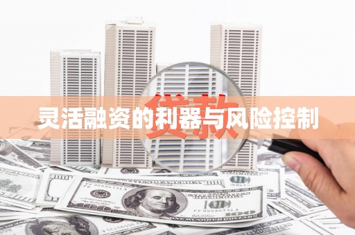 银海灵活融资的利器与风险控制
