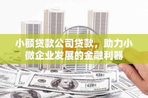 银海小额贷款公司贷款，助力小微企业发展的金融利器