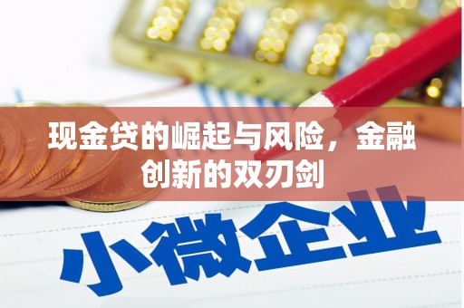 银海现金贷的崛起与风险，金融创新的双刃剑