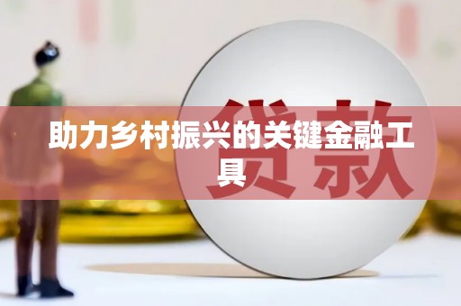 银海助力乡村振兴的关键金融工具