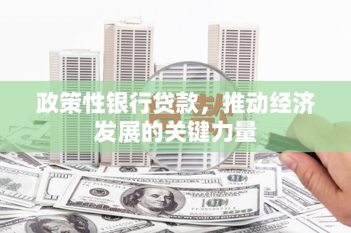 银海政策性银行贷款，推动经济发展的关键力量