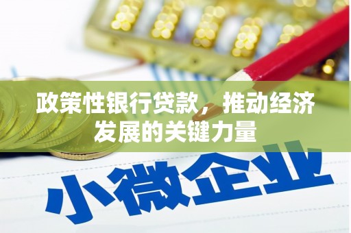 银海政策性银行贷款，推动经济发展的关键力量