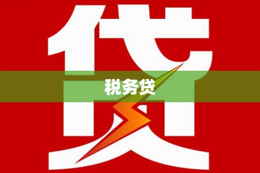 银海税务贷