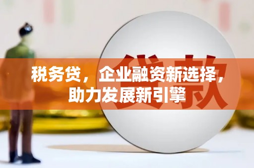 银海税务贷，企业融资新选择，助力发展新引擎