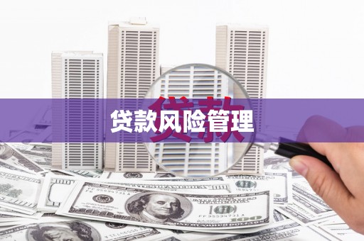 银海贷款风险管理