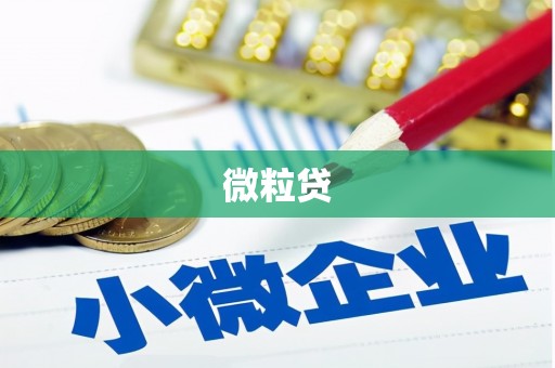 银海微粒贷