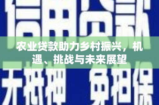 银海农业贷款助力乡村振兴，机遇、挑战与未来展望