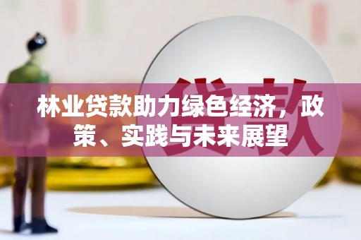 银海林业贷款助力绿色经济，政策、实践与未来展望