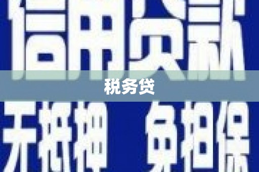 银海税务贷