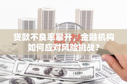 银海贷款不良率攀升，金融机构如何应对风险挑战？