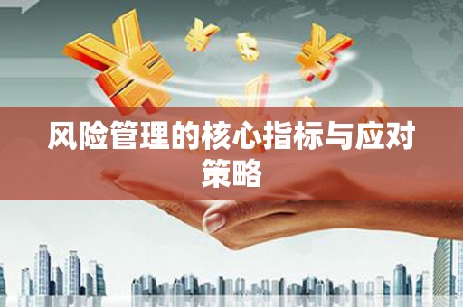银海风险管理的核心指标与应对策略