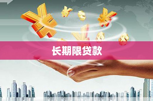 银海长期限贷款