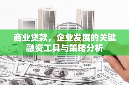 银海商业贷款，企业发展的关键融资工具与策略分析