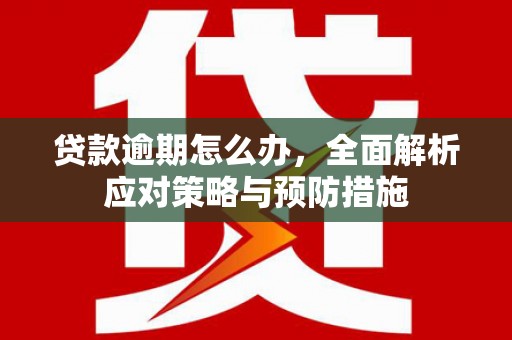 银海贷款逾期怎么办，全面解析应对策略与预防措施