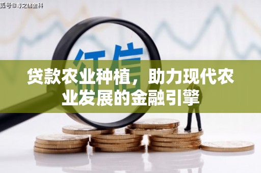银海贷款农业种植，助力现代农业发展的金融引擎