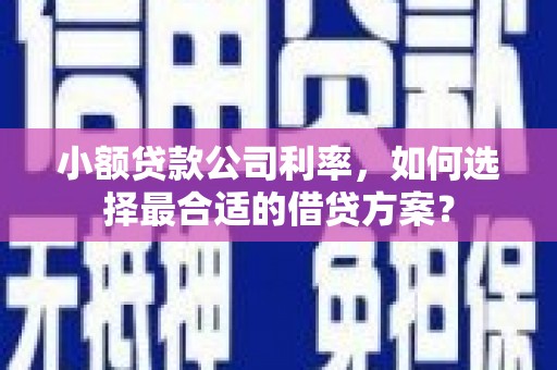 银海小额贷款公司利率，如何选择最合适的借贷方案？