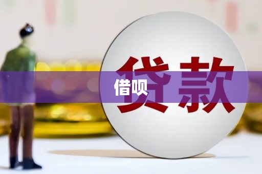 银海借呗