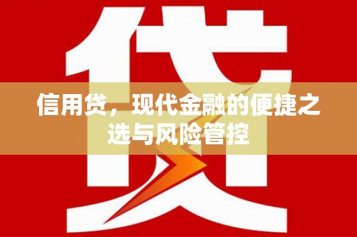银海信用贷，现代金融的便捷之选与风险管控