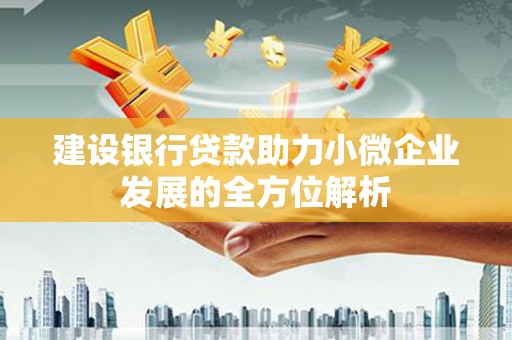 银海建设银行贷款助力小微企业发展的全方位解析