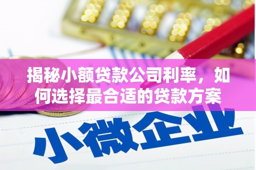 银海揭秘小额贷款公司利率，如何选择最合适的贷款方案