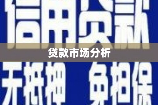 银海贷款市场分析
