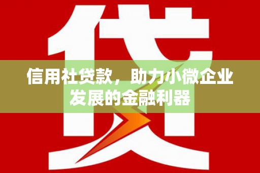 银海信用社贷款，助力小微企业发展的金融利器
