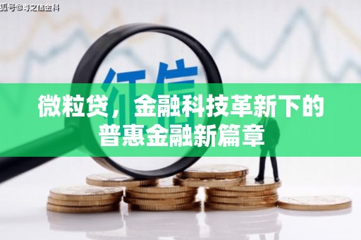 银海微粒贷，金融科技革新下的普惠金融新篇章
