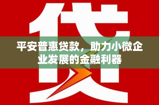 银海平安普惠贷款，助力小微企业发展的金融利器