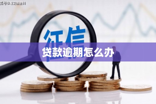 银海贷款逾期怎么办