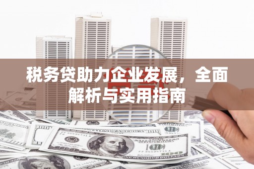 银海税务贷助力企业发展，全面解析与实用指南