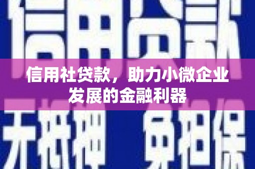 银海信用社贷款，助力小微企业发展的金融利器
