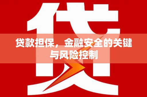 银海贷款担保，金融安全的关键与风险控制